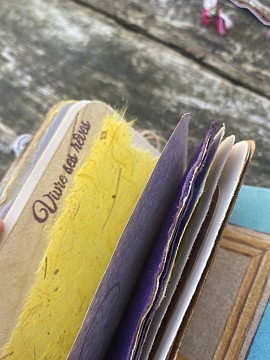 Carnet de Pavlova