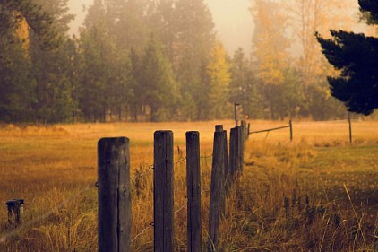 Mabon